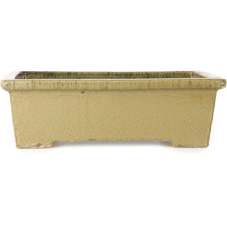 Kanto Vaso bonsai rettangolare beige da 530 mm di Kanto, Cina