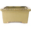 Pot à bonsaï rectangulaire beige de Kanto - 530 x 345 x 160 mm