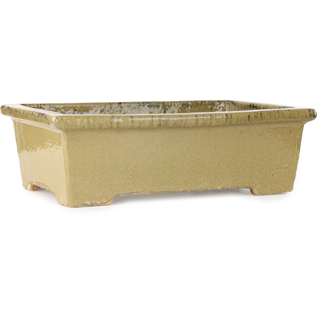 Vaso bonsai rettangolare beige di Kanto - 530 x 345 x 160 mm