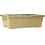 Maceta rectangular beige para bonsái de Kanto - 530 x 345 x 160 mm