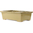 Maceta rectangular beige para bonsái de Kanto - 530 x 345 x 160 mm