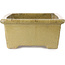 Rechthoekige beige bonsaipot van Kanto - 530 x 345 x 160 mm