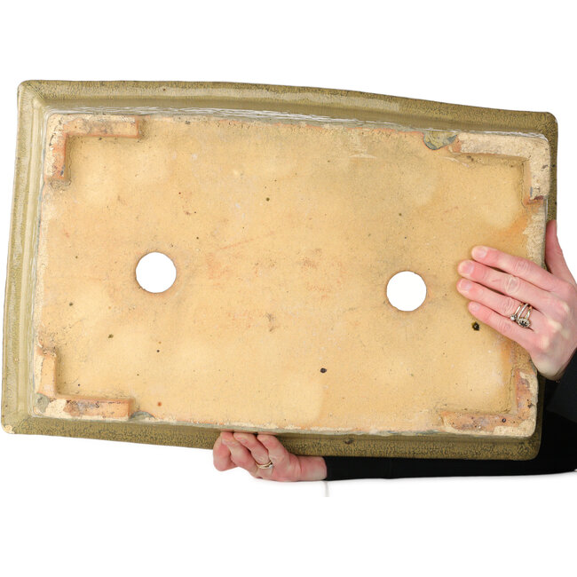 Maceta rectangular beige para bonsái de Kanto - 530 x 345 x 160 mm