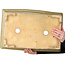 Rectangular beige bonsai pot by Kanto - 530 x 345 x 160 mm