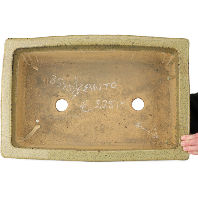 Pot à bonsaï rectangulaire beige de Kanto - 530 x 345 x 160 mm