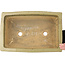 Rechthoekige beige bonsaipot van Kanto - 530 x 345 x 160 mm