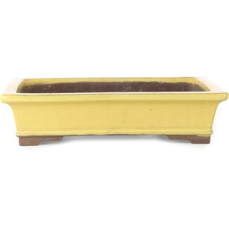  Yamaaki Vaso bonsai rettangolare giallo da 322 mm di Yamaaki, Tokoname, Giappone