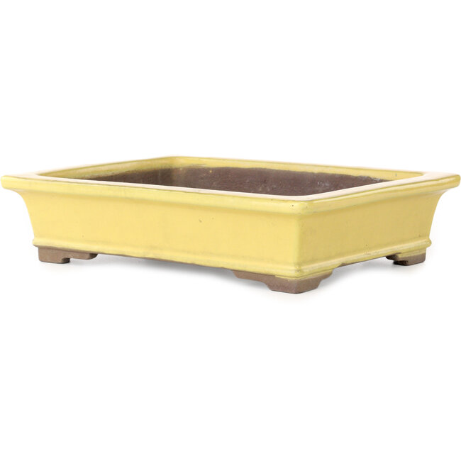 Rectangular yellow bonsai pot by Yamaaki - 322 x 245 x 75 mm