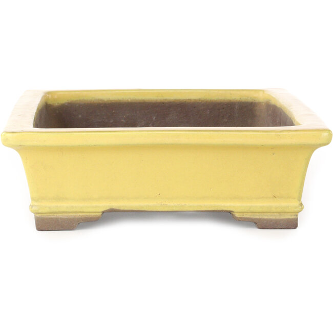 Maceta rectangular amarilla para bonsái de Yamaaki - 322 x 245 x 75 mm