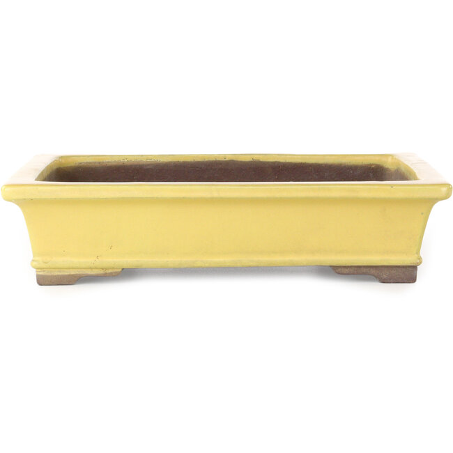 Vaso bonsai rettangolare giallo di Yamaaki - 322 x 245 x 75 mm