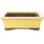 Vaso bonsai rettangolare giallo di Yamaaki - 322 x 245 x 75 mm