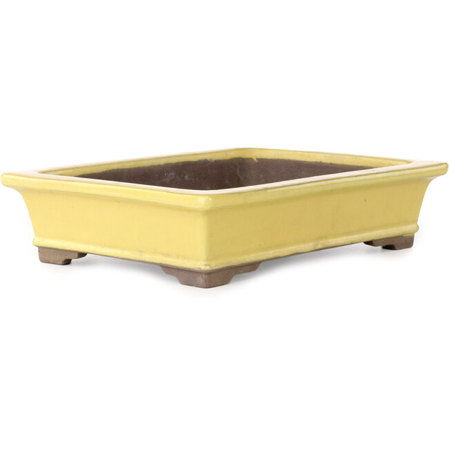Rechthoekige gele bonsaipot van Yamaaki - 322 x 245 x 75 mm