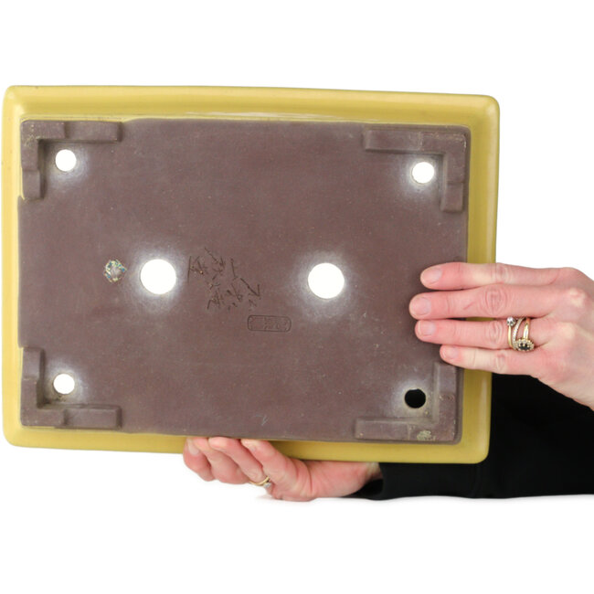 Pot à bonsaï rectangulaire jaune de Yamaaki - 322 x 245 x 75 mm