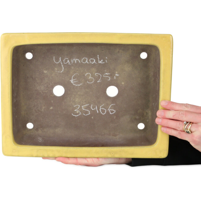 Maceta rectangular amarilla para bonsái de Yamaaki - 322 x 245 x 75 mm