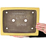 Pot à bonsaï rectangulaire jaune de Yamaaki - 322 x 245 x 75 mm