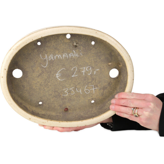 Ovaler Bonsai-Topf in Beige, Weiß und Braun von Yamaaki – 310 x 242 x 65 mm