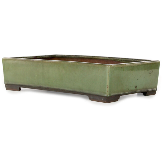 Pot à bonsaï rectangulaire vert - 407 x 245 x 95 mm