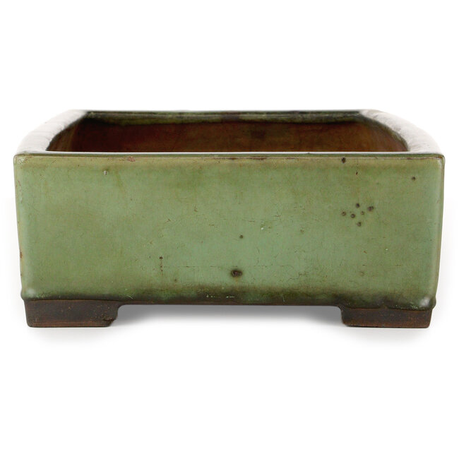 Rechthoekige groene bonsaipot - 407 x 245 x 95 mm
