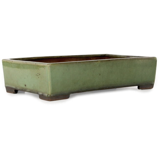 Rechthoekige groene bonsaipot - 407 x 245 x 95 mm