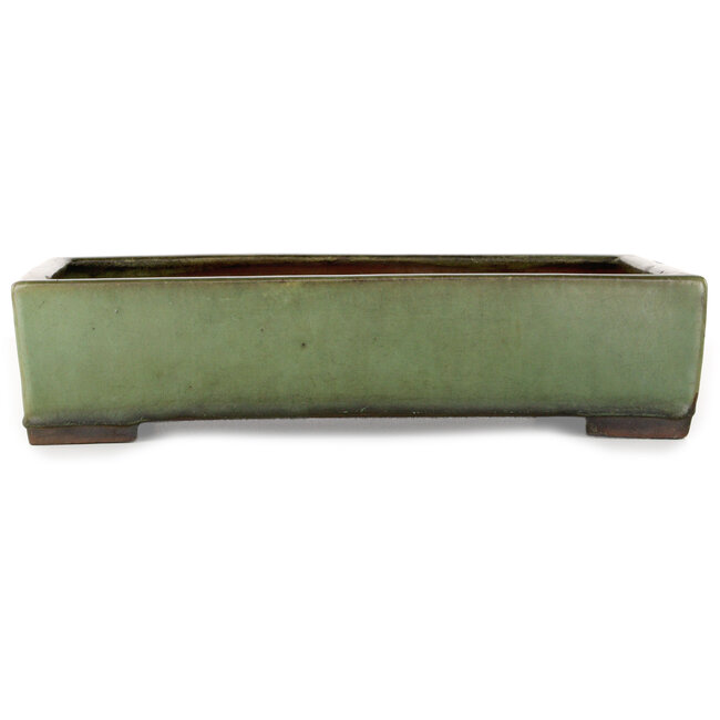 Rectangular green bonsai pot - 407 x 245 x 95 mm