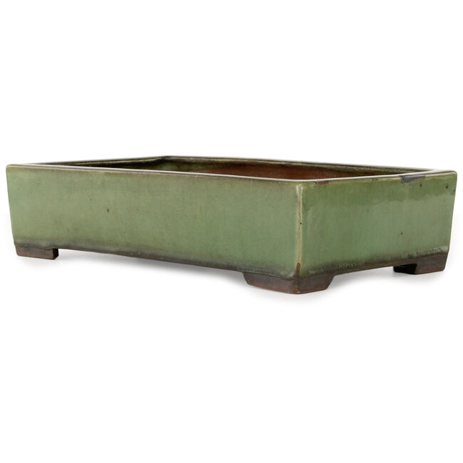Rectangular green bonsai pot - 407 x 245 x 95 mm