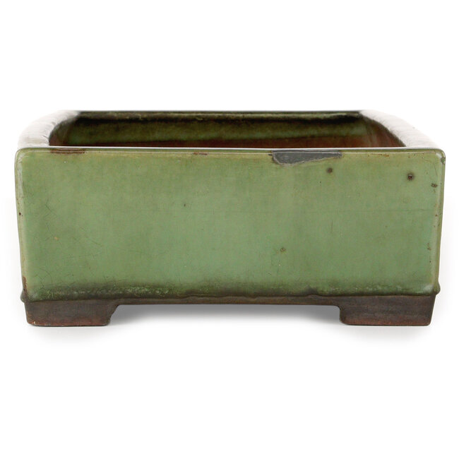 Rechthoekige groene bonsaipot - 407 x 245 x 95 mm