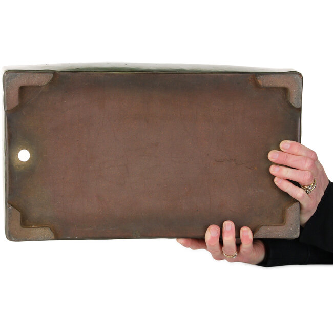 Pot à bonsaï rectangulaire vert - 407 x 245 x 95 mm