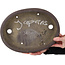 Oval unglazed bonsai pot by Yamaaki Toshio (third generation) - 315 x 237 x 65 mm