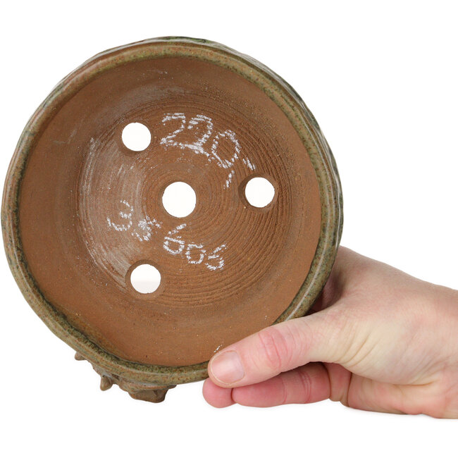 Vaso bonsai rotondo non smaltato - 150 x 150 x 60 mm