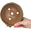 Ronde, ongeglazuurde bonsaipot - 150 x 150 x 60 mm