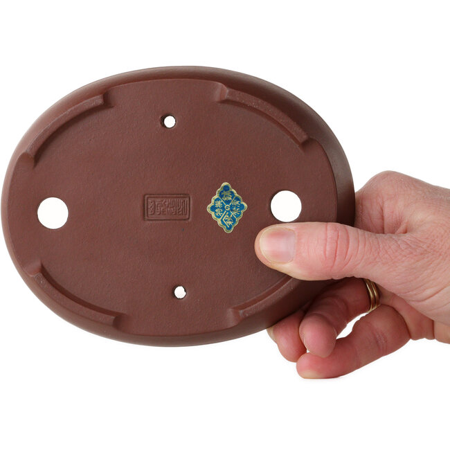 Maceta ovalada sin esmaltar para bonsái de Yamaaki Toshio (tercera generación) - 140 x 110 x 23 mm