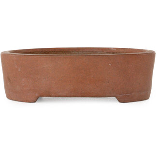  Shibakatsu (Katsuichi Shibata) Vaso bonsai ovale non smaltato da 125 mm di Shibakatsu, Tokoname, Giappone