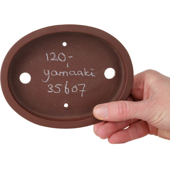 Maceta ovalada sin esmaltar para bonsái de Yamaaki Toshio (tercera generación) - 140 x 110 x 23 mm