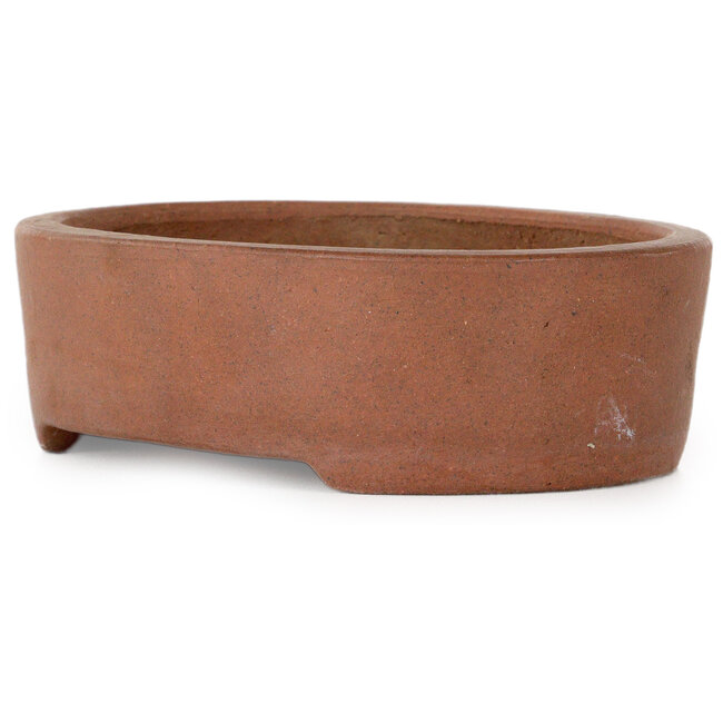 Vaso bonsai ovale non smaltato di Shibakatsu - 125 x 97 x 37 mm