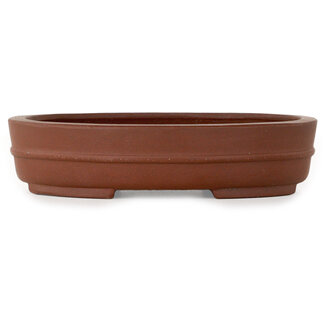  Shibakatsu (Katsuichi Shibata) Pot à bonsaï ovale non émaillé de 153 mm par Shibakatsu, Tokoname, Japon