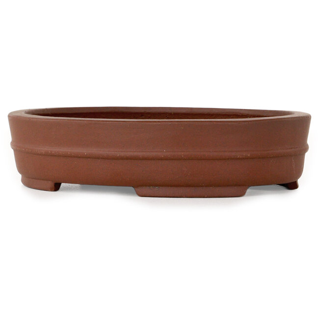 Vaso bonsai ovale non smaltato di Shibakatsu - 153 x 125 x 35 mm