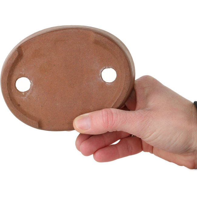 Pot à bonsaï ovale non émaillé de Shibakatsu - 125 x 97 x 37 mm
