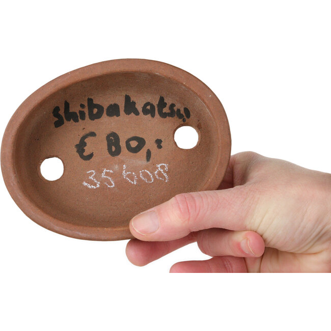 Maceta ovalada sin esmaltar para bonsái de Shibakatsu - 125 x 97 x 37 mm