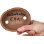 Oval unglazed bonsai pot by Shibakatsu - 125 x 97 x 37 mm