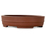 Vaso bonsai ovale non smaltato di Shibakatsu - 153 x 125 x 35 mm