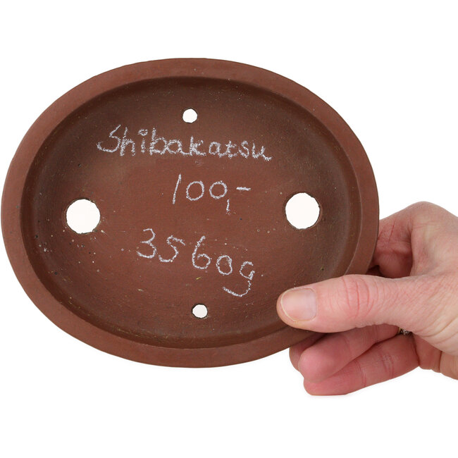 Pot à bonsaï ovale non émaillé de Shibakatsu - 153 x 125 x 35 mm