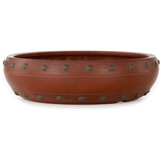 Bigei - Hirata Atsumi Maceta para bonsái redonda sin esmaltar de 180 mm de Bigei, Tokoname, Japón