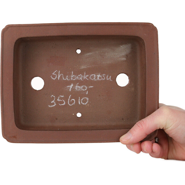 Rectangular unglazed bonsai pot by Shibakatsu - 192 x 146 x 50 mm