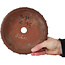 Pot à bonsaï rond non émaillé de Bigei - 180 x 180 x 50 mm