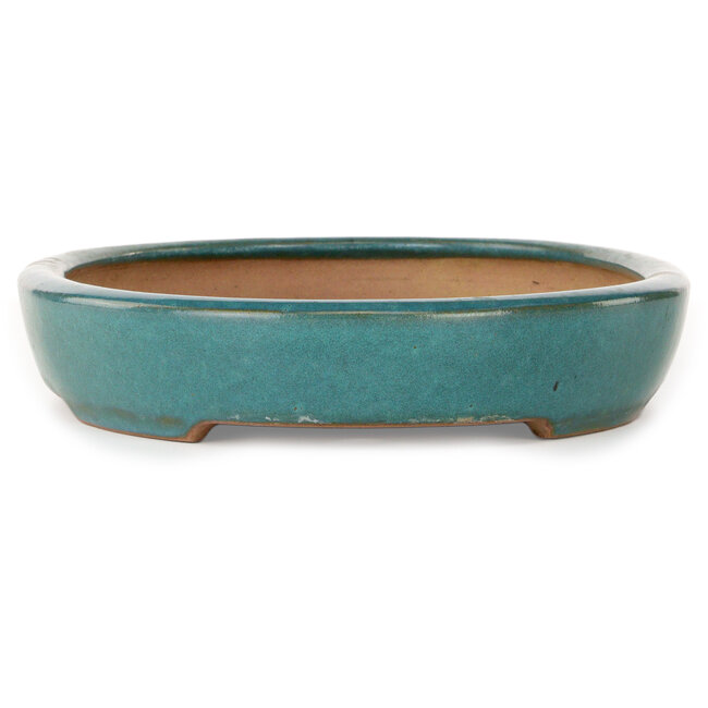 Maceta ovalada para bonsái verde azulado de Seizan (Reihou, Kataoka Katsushi, maestro del horno Seizan) - 412 x 287 x 57 mm