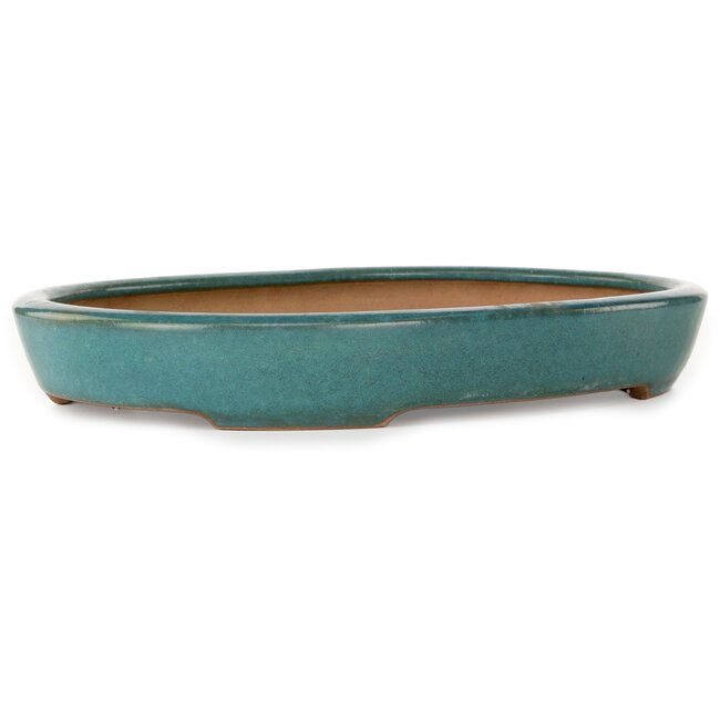 Oval teal bonsai pot by Seizan (Reihou, Kataoka Katsushi, master Seizan kiln) - 412 x 287 x 57 mm