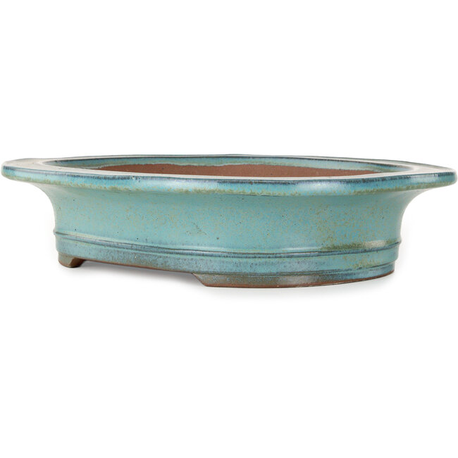 Oval turquoise bonsai pot by Kakuzan - 432 x 365 x 98 mm