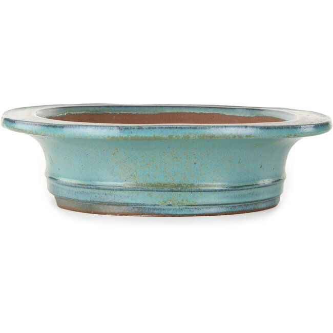 Vaso bonsai ovale turchese di Kakuzan - 432 x 365 x 98 mm