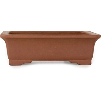 Itayama Pot à bonsaï rectangulaire non émaillé de 225 mm, fabriqué par Itayama, Tokoname, Japon.