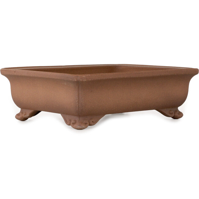 Vaso bonsai rettangolare non smaltato di Izumiya (Zenigo) - 220 x 167 x 67 mm